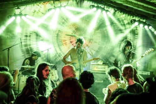 20230818_RockTheFrog_FX_104