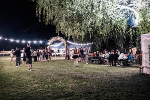 20230818_RockTheFrog_FX_149